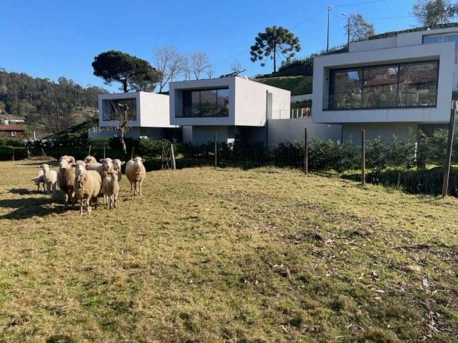 Viana Do Castelo - Amonde Village -Casa A * Relax Екстер'єр фото