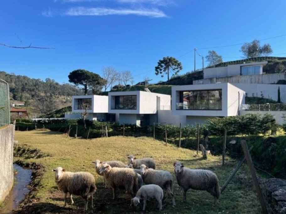 Viana Do Castelo - Amonde Village -Casa A * Relax Екстер'єр фото